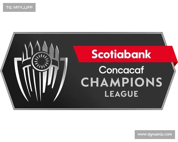 北美洲杯赛全方位解析：历史背景、参赛队伍与赛事亮点一网打尽